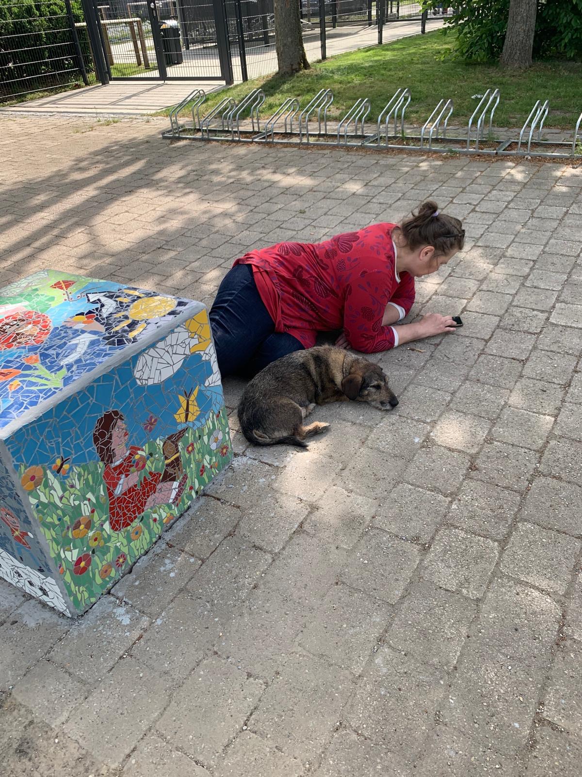 Angelika Schaupp und ihr Hund Harry ruhen sich während des internationalen Mosaikprojekts in Ingolstadt neben einem farbenfrohen Mosaik aus.