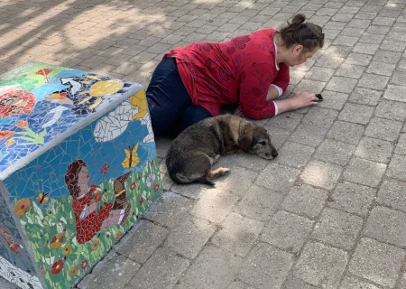 Angelika Schaupp und ihr Hund Harry ruhen sich während des internationalen Mosaikprojekts in Ingolstadt neben einem farbenfrohen Mosaik aus.